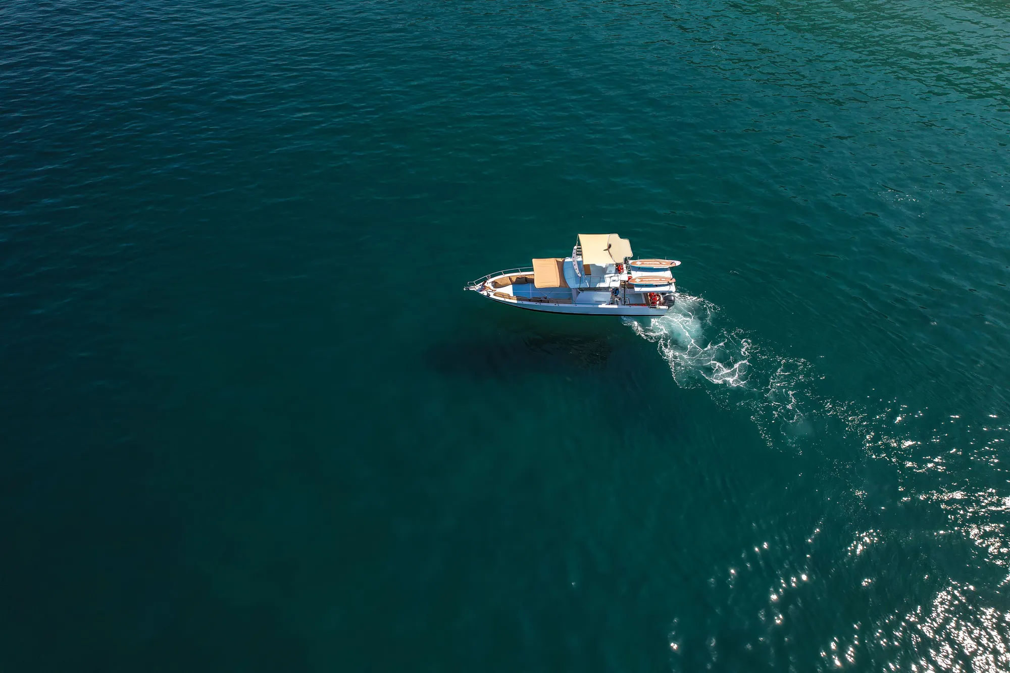 Family Boat Charter Punta Mita – Pato Bobo 42ft (Large Groups) 5