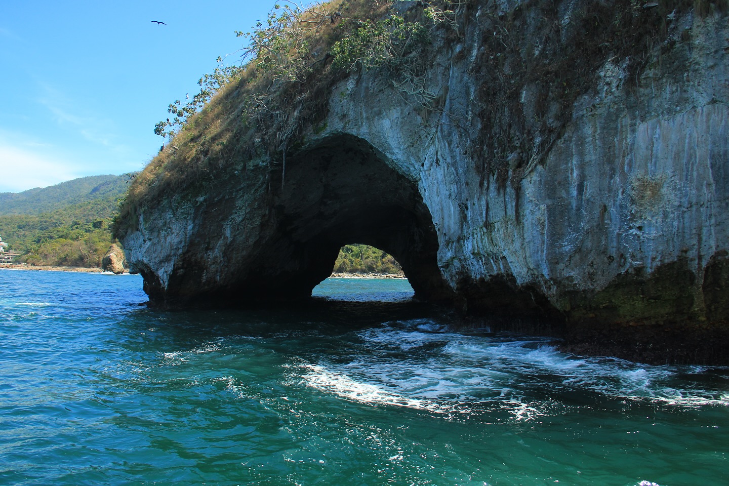 Snorkel & Paddleboard at Los Arcos – Half Day Boat Tour 5