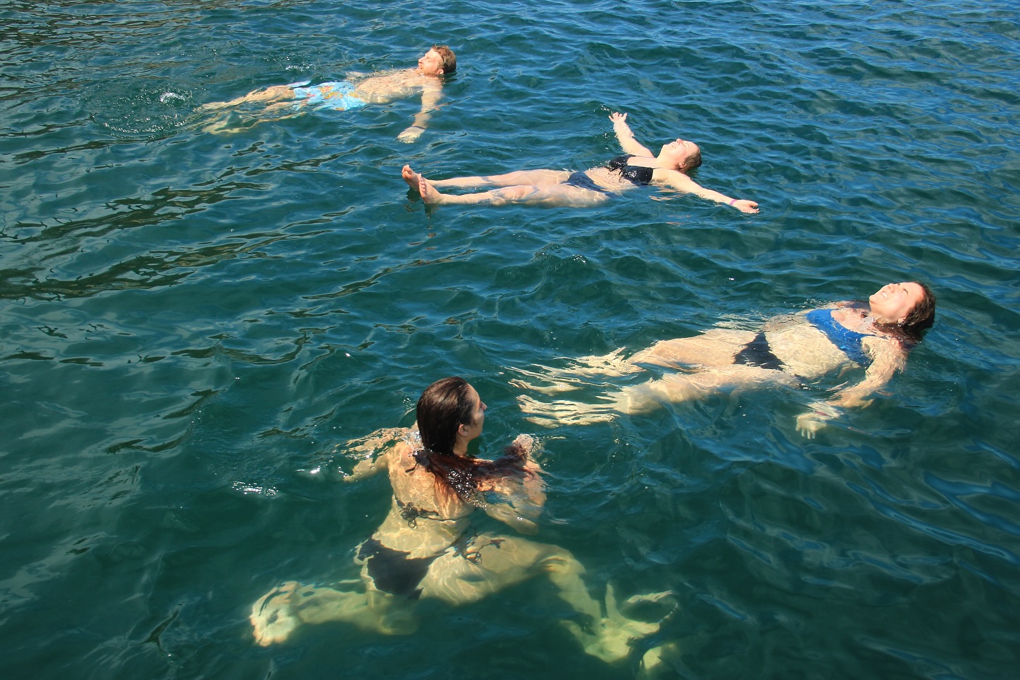 Snorkel & Paddleboard at Los Arcos – Half Day Boat Tour 4