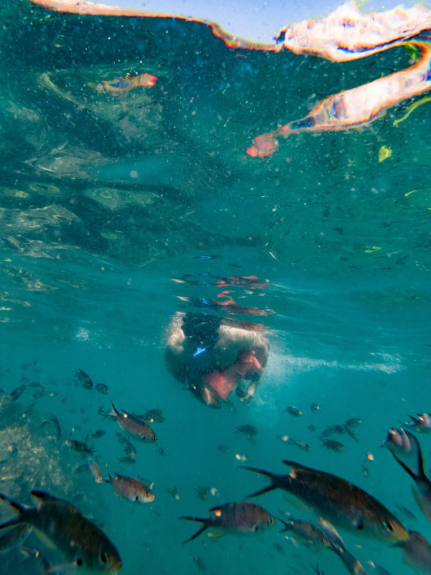 Marietas Hidden Beach Private Tour from Punta Mita (Playa del Amor) 4