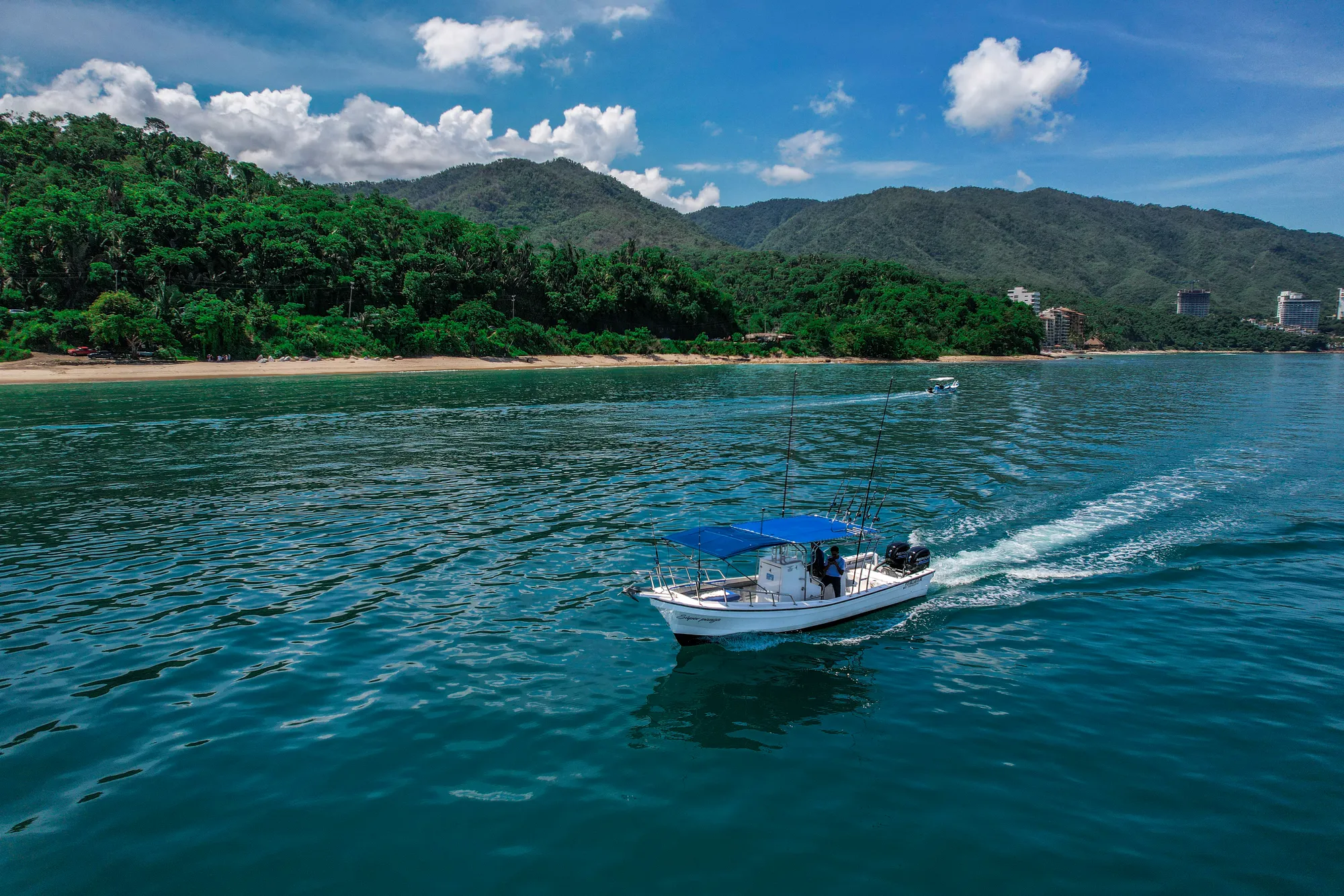 Private Fishing Charter Punta Mita – Súper Panga 27ft (Family Fishing)
