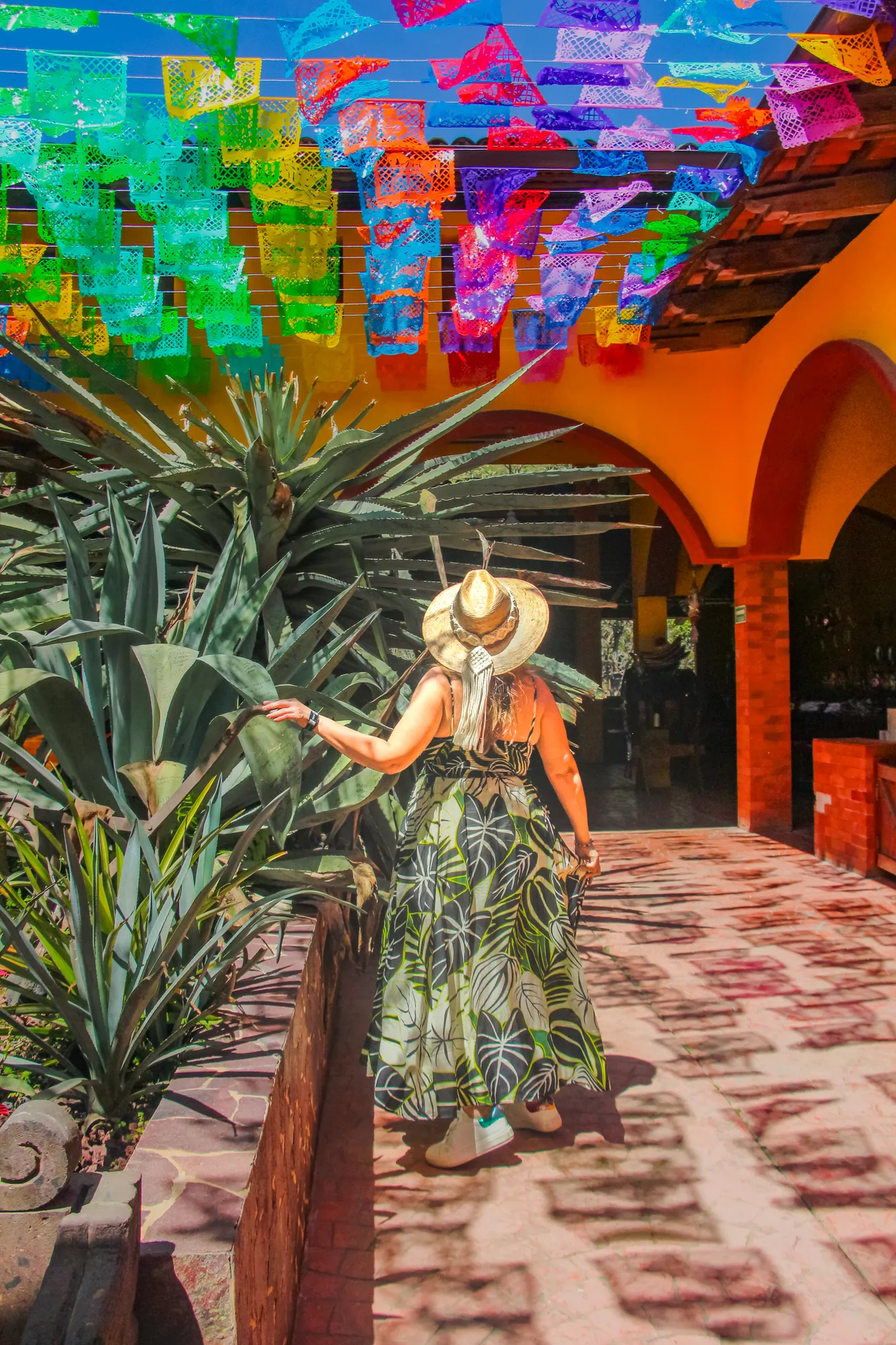 Puerto Vallarta City Tour from Punta Mita 3