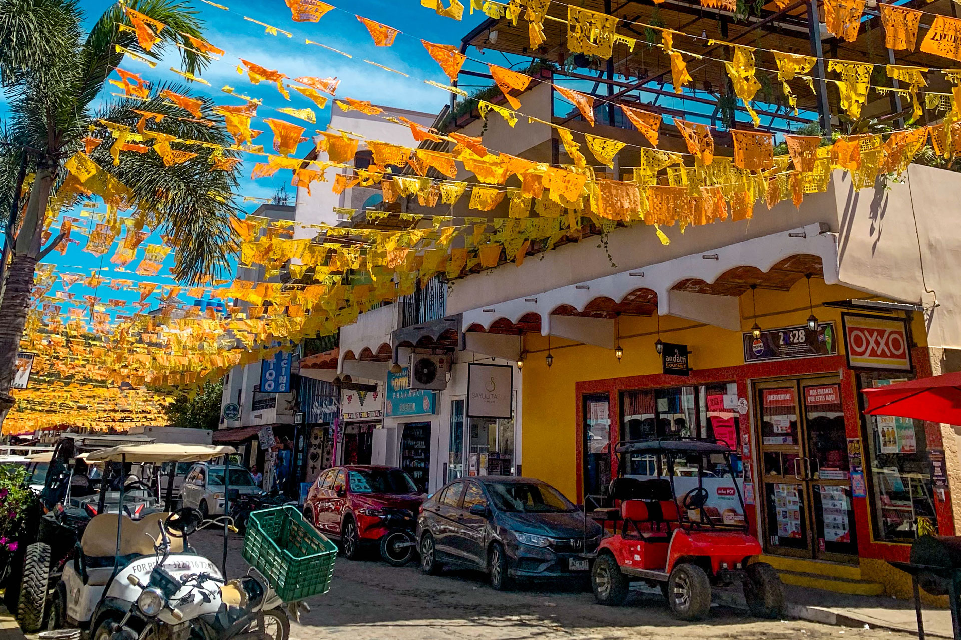 Sayulita & San Pancho Day Trip from Puerto Vallarta 4