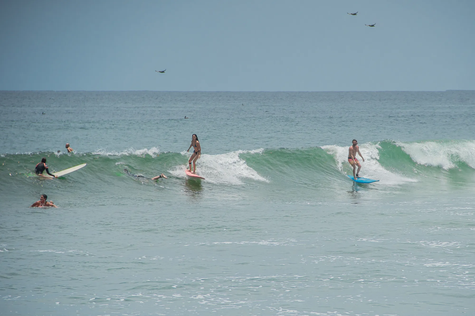 Sayulita & San Pancho Tour from Punta Mita 5