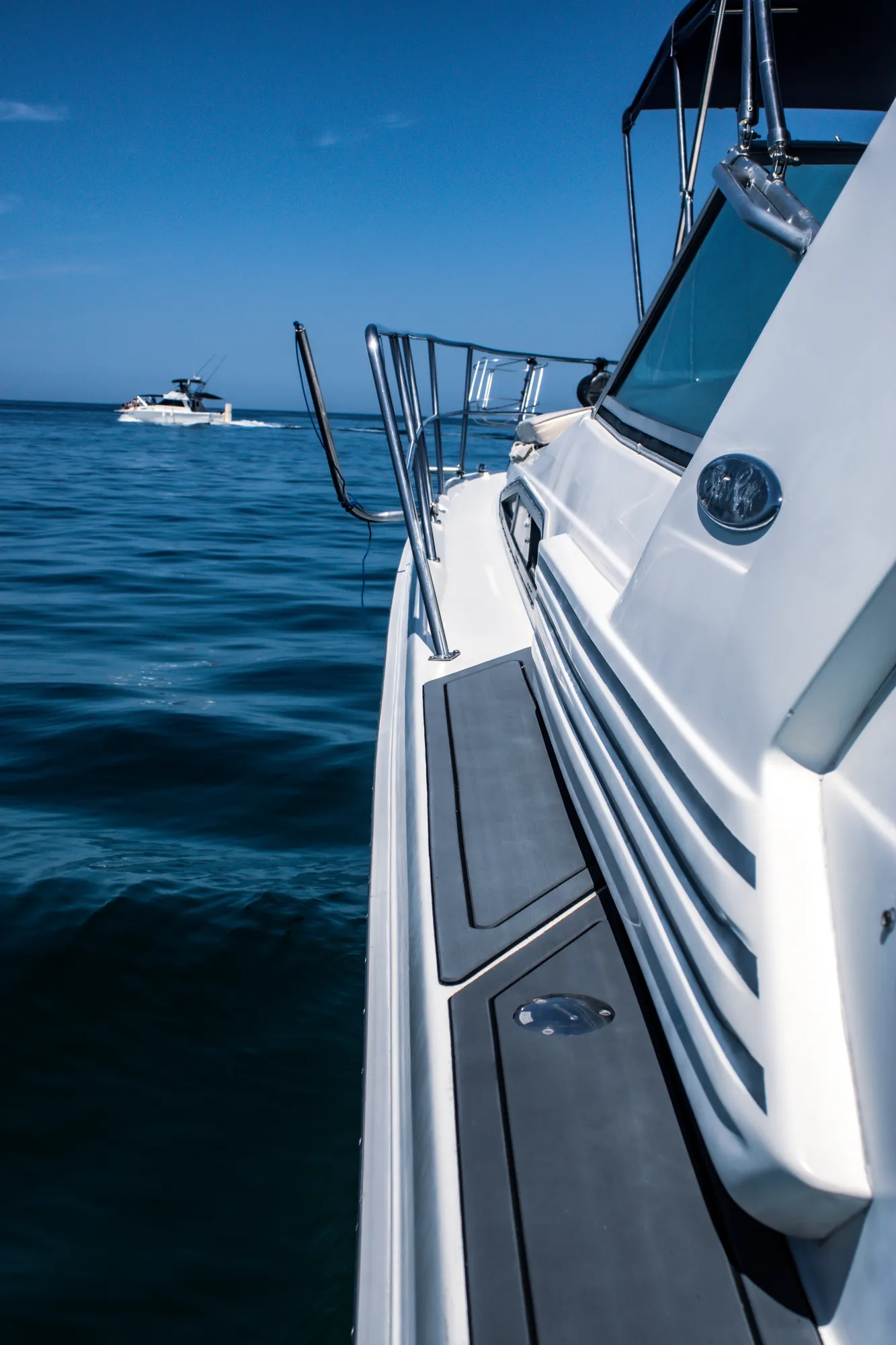 Private Yacht Charter Puerto Vallarta – La Luna y las Estrellas (Sea Ray 42ft) 2