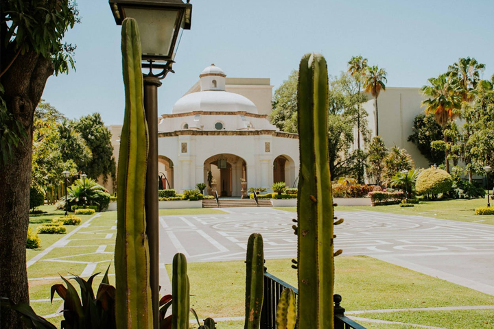 Tequila Jalisco Private Tour