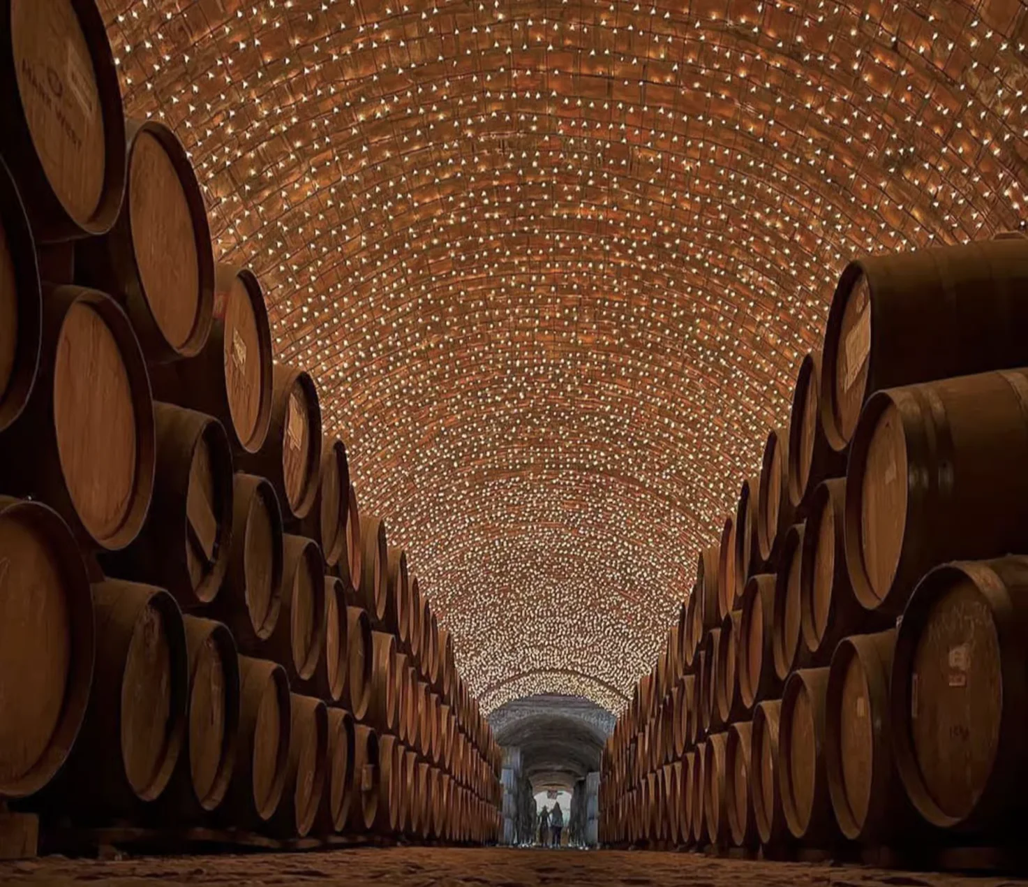 Tequila Jalisco Private Tour 2