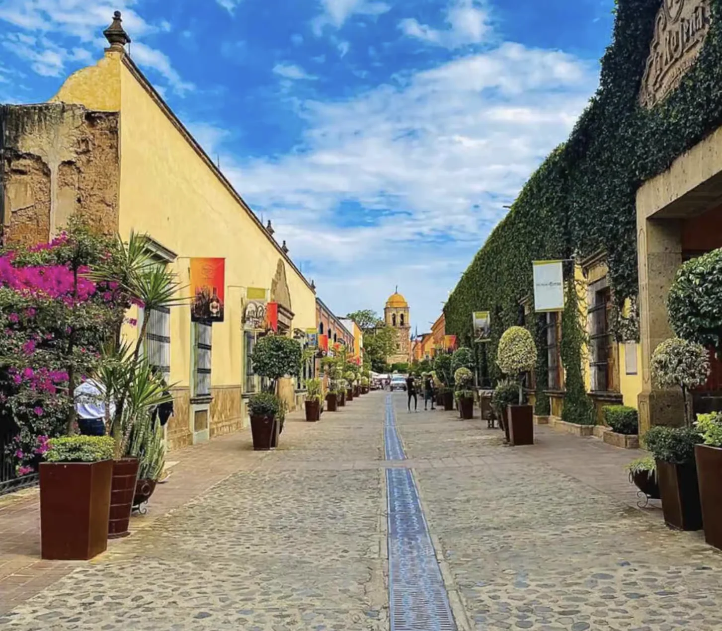 Tequila Jalisco Private Tour 4
